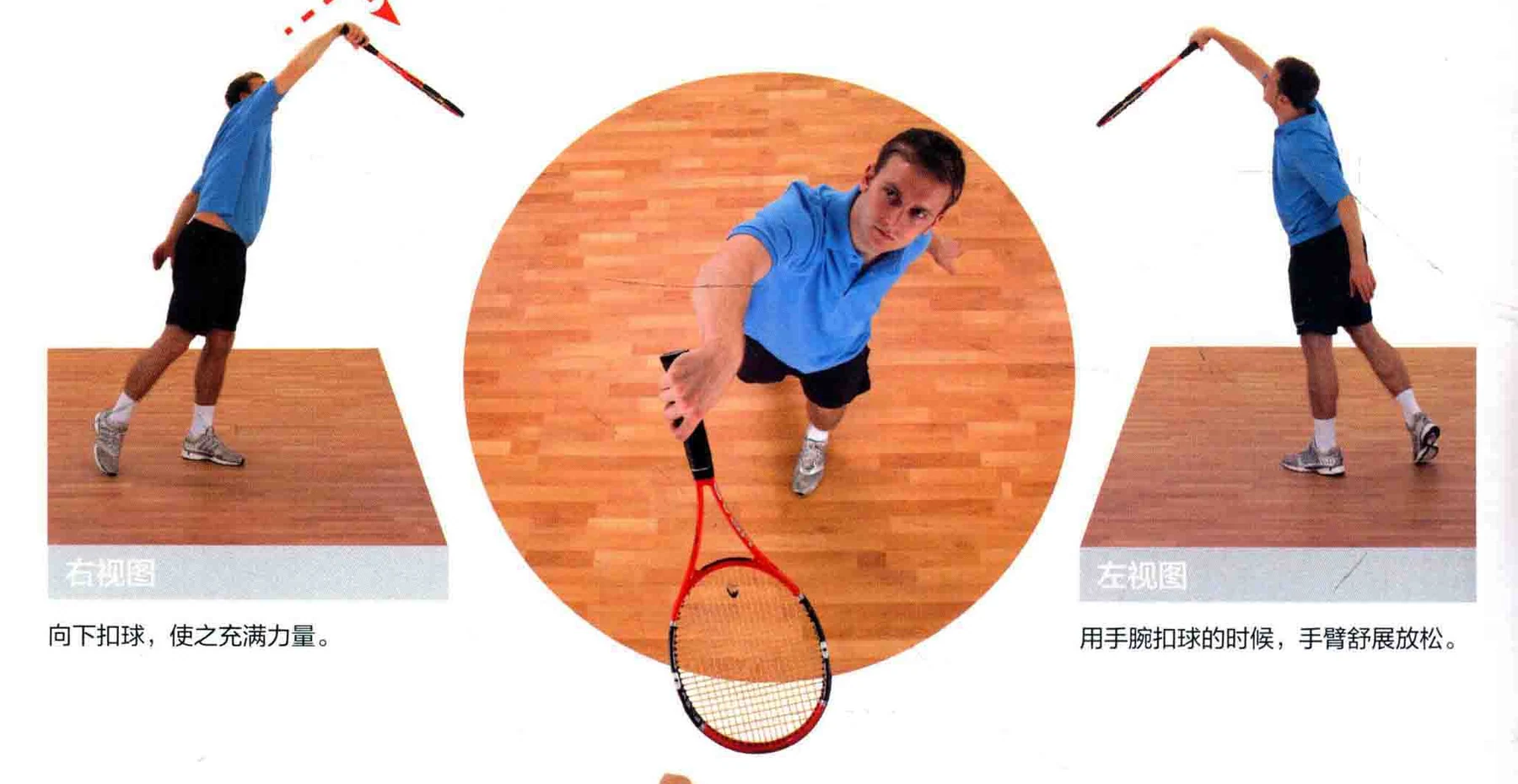动作示范 · 多角度视图