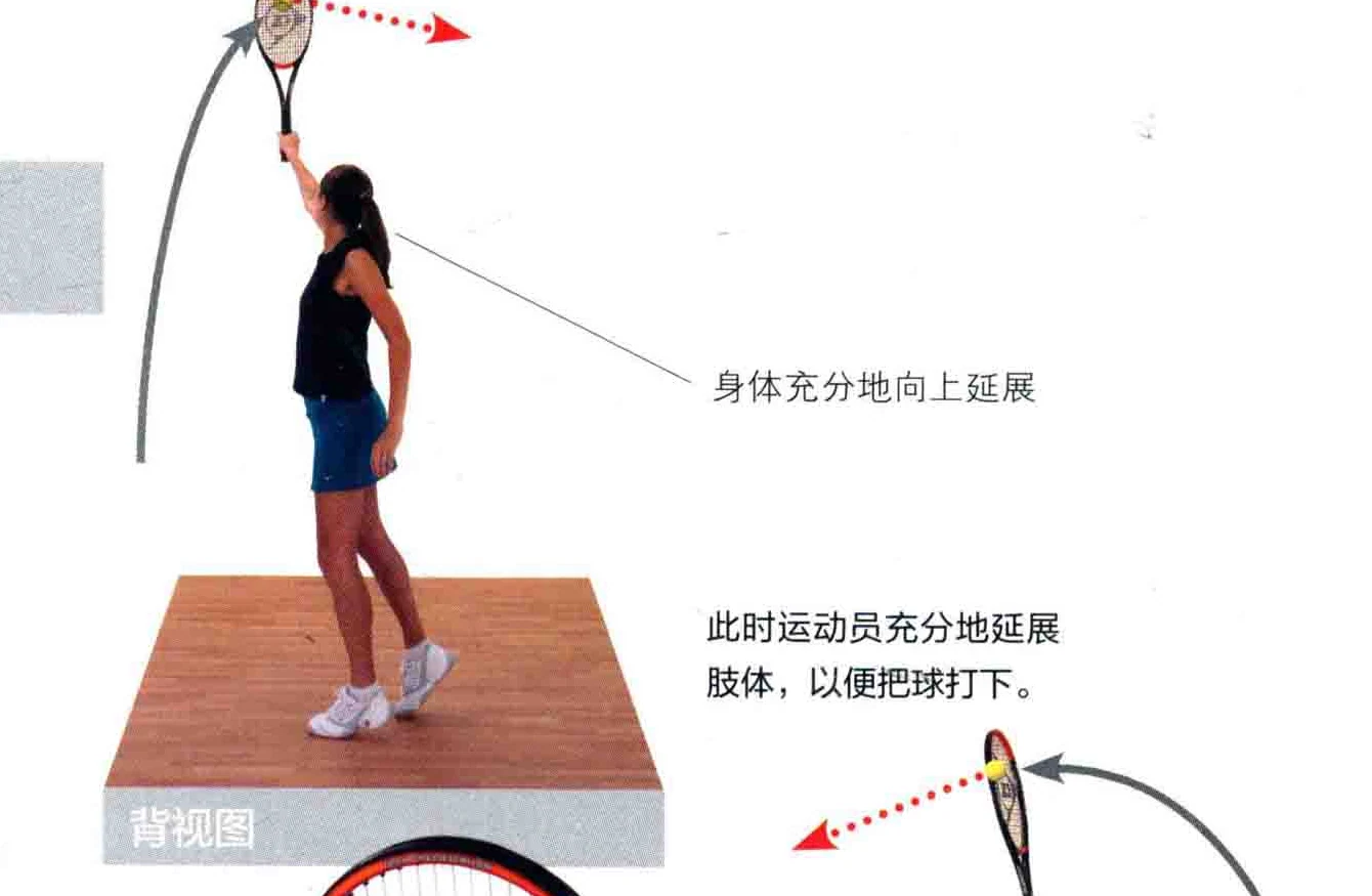 动作示范 · 正面视角