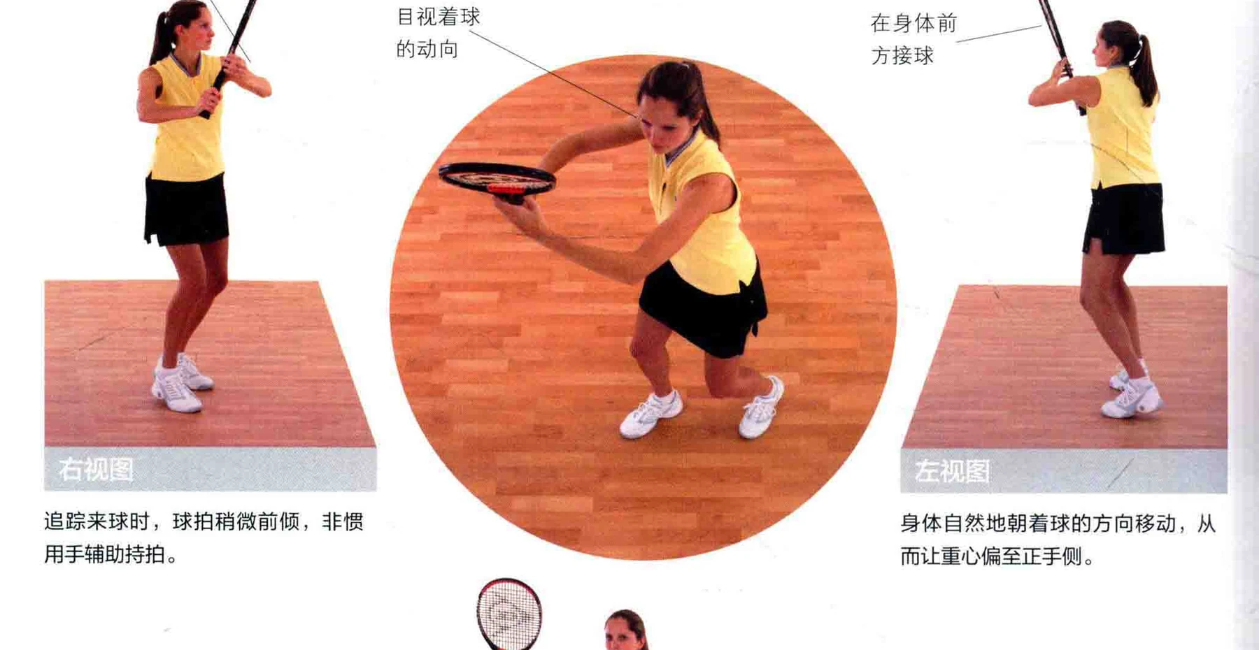 动作示范 · 多角度视图