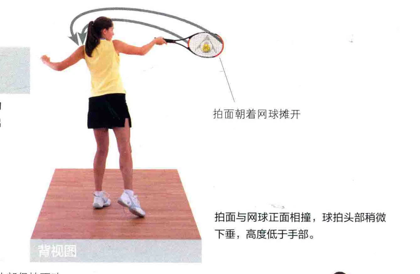 动作示范 · 正面视角