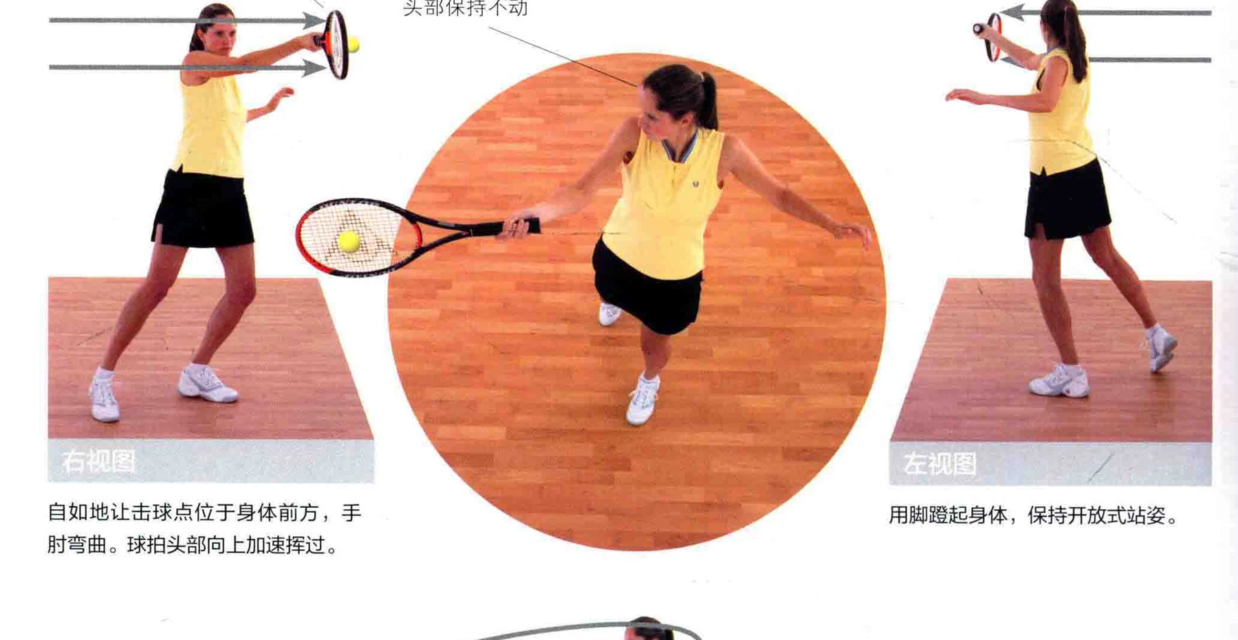 动作示范 · 多角度视图
