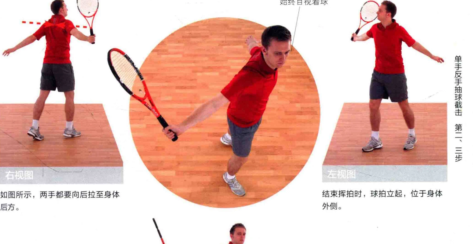 动作示范 · 多角度视图