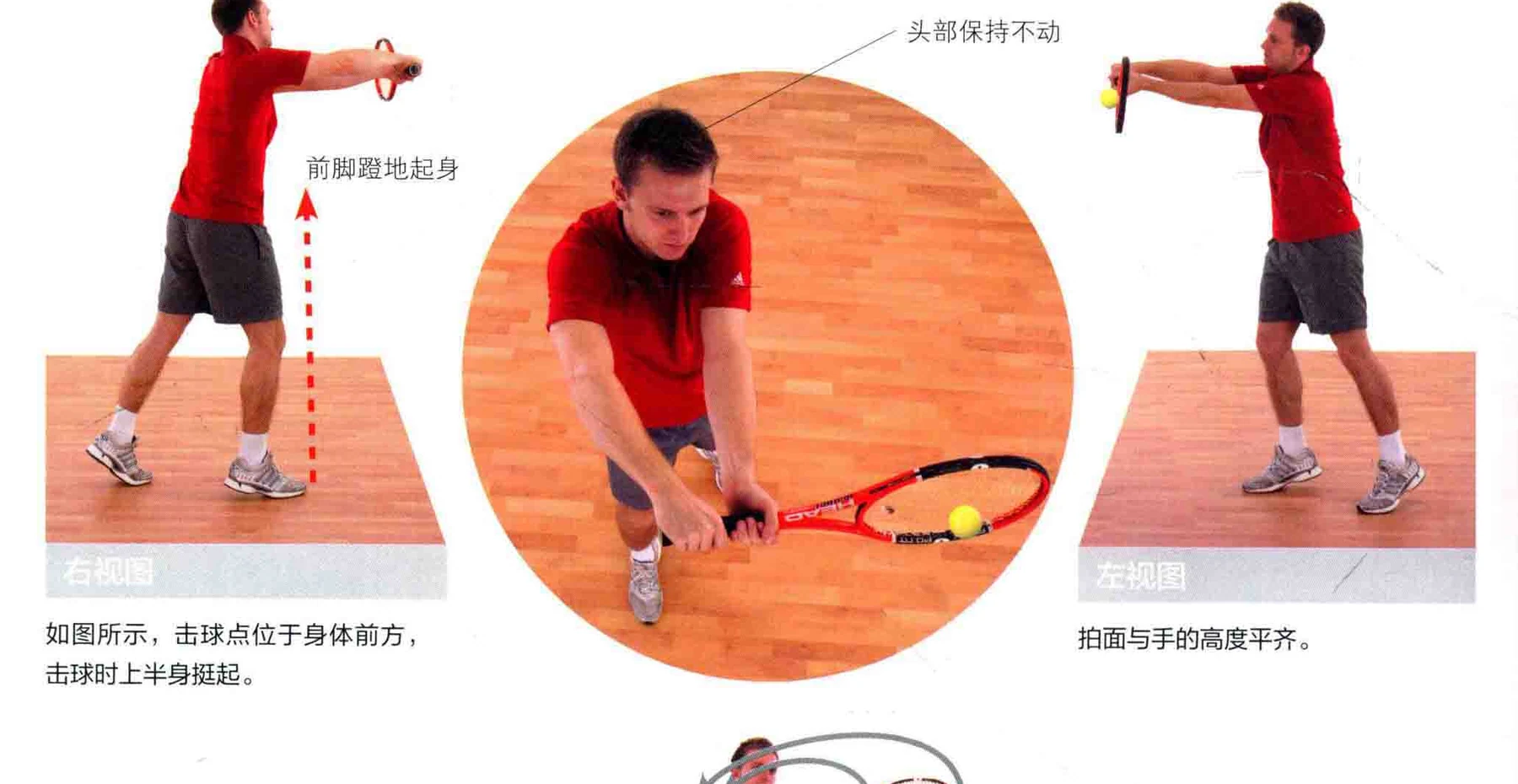 动作示范 · 多角度视图