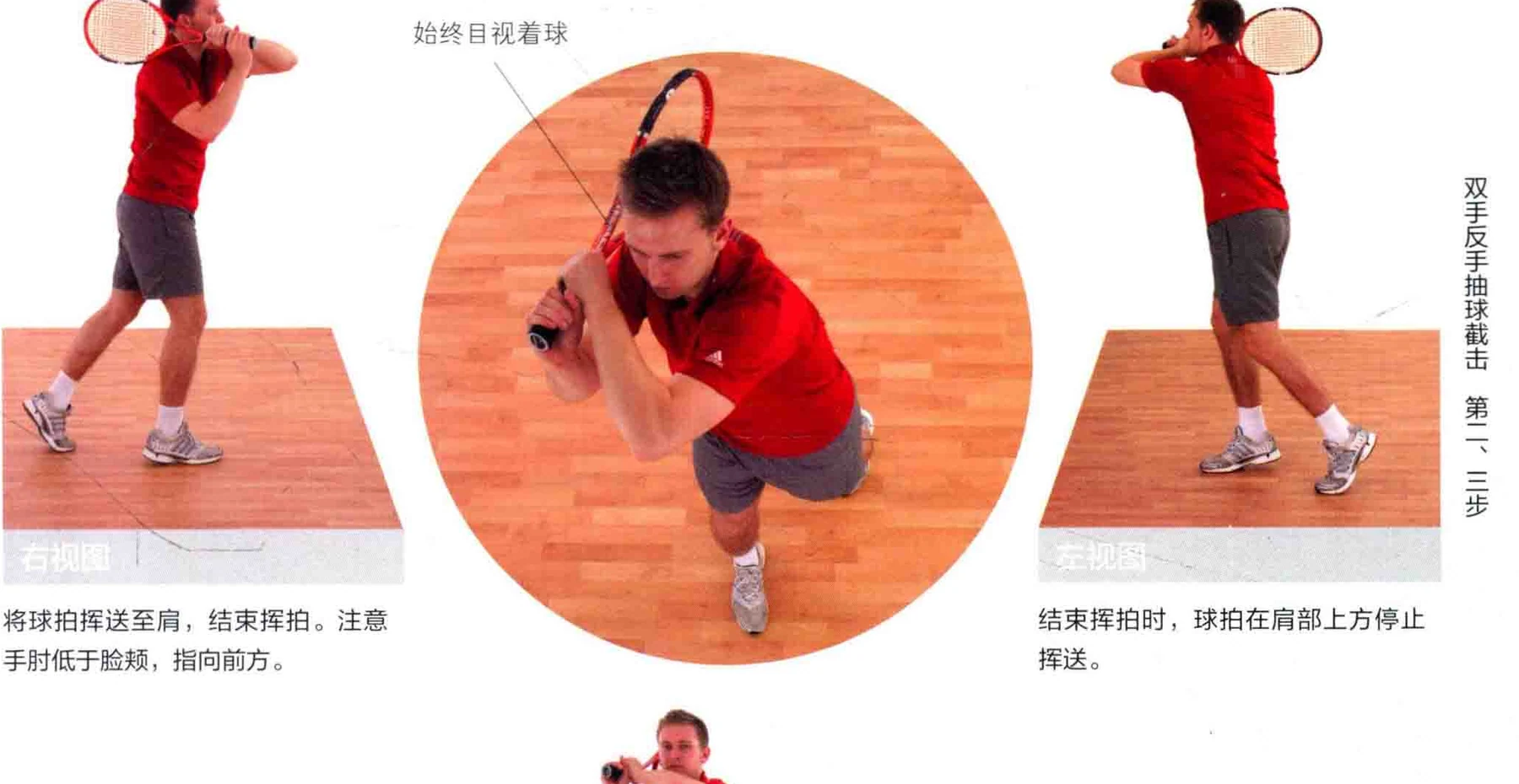 动作示范 · 多角度视图
