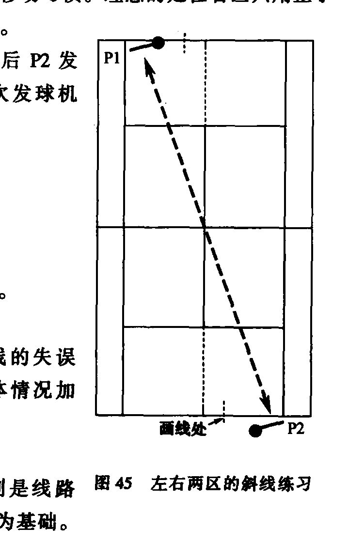 原书插图:图45