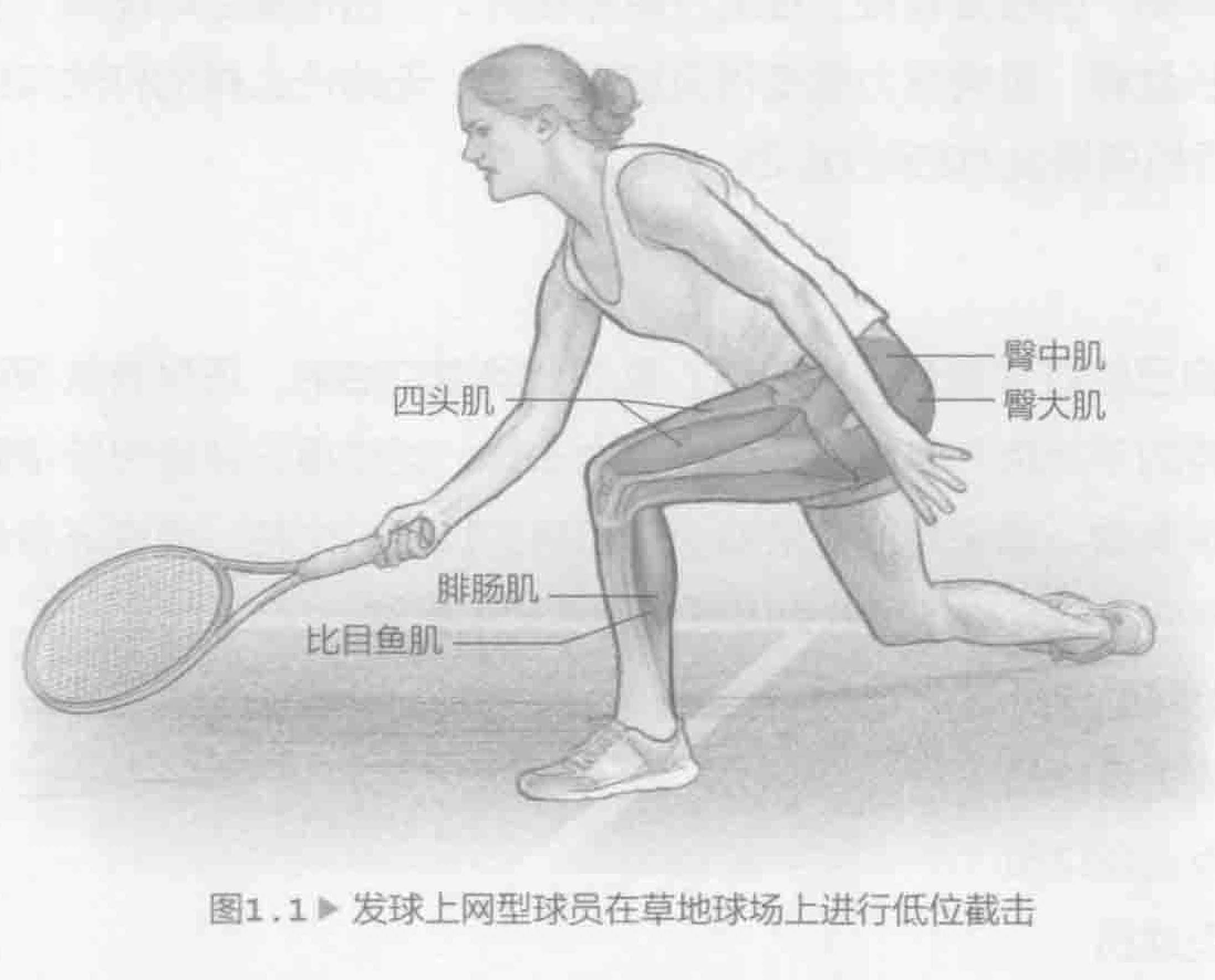 图1.1 发球上网型球员在草地球场上进行低位截击