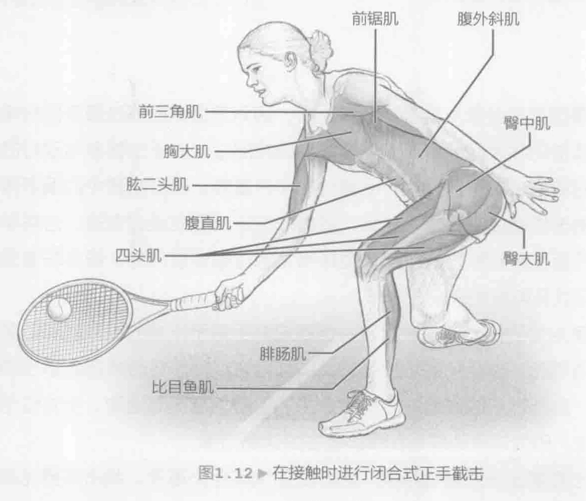 图1.12 在接触时进行闭合式正手截击