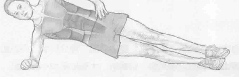 侧身平板支撑