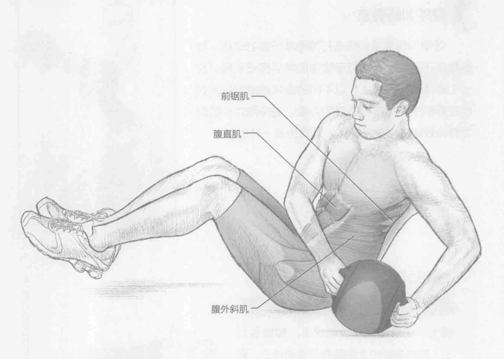 俄罗斯式扭转:动作与肌群