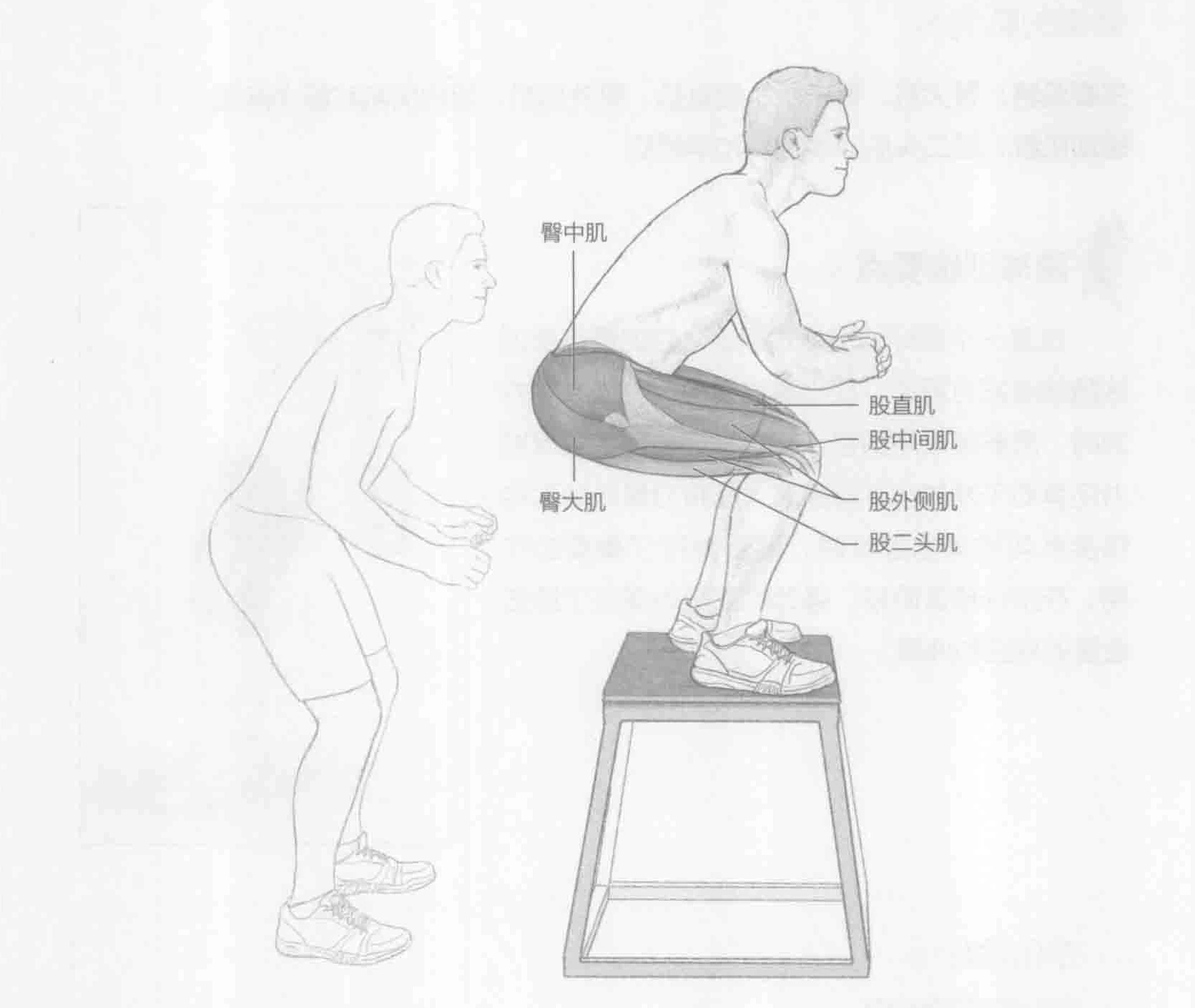 跳箱:动作与肌群