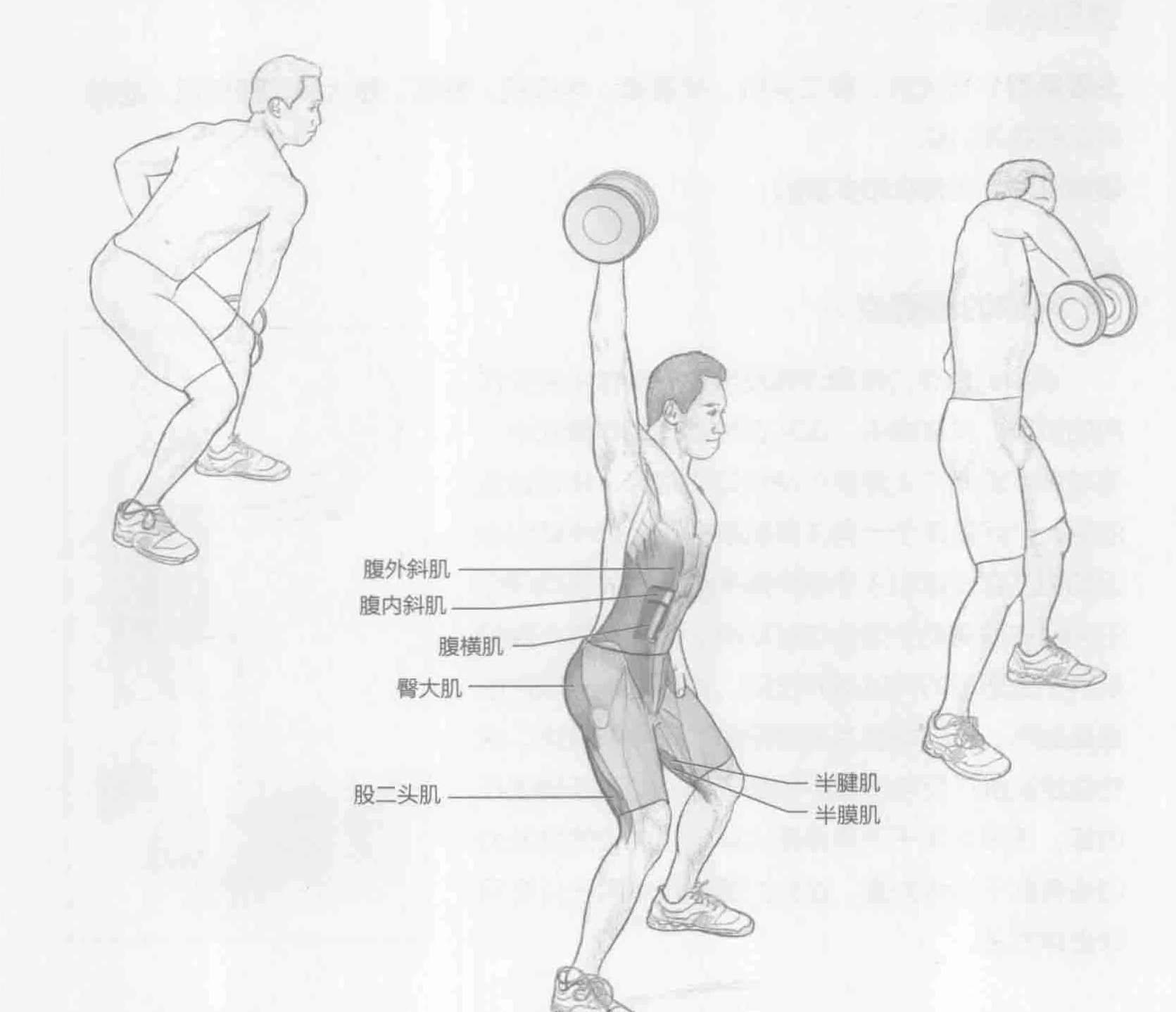 单臂旋转哑铃抓举：动作与肌群