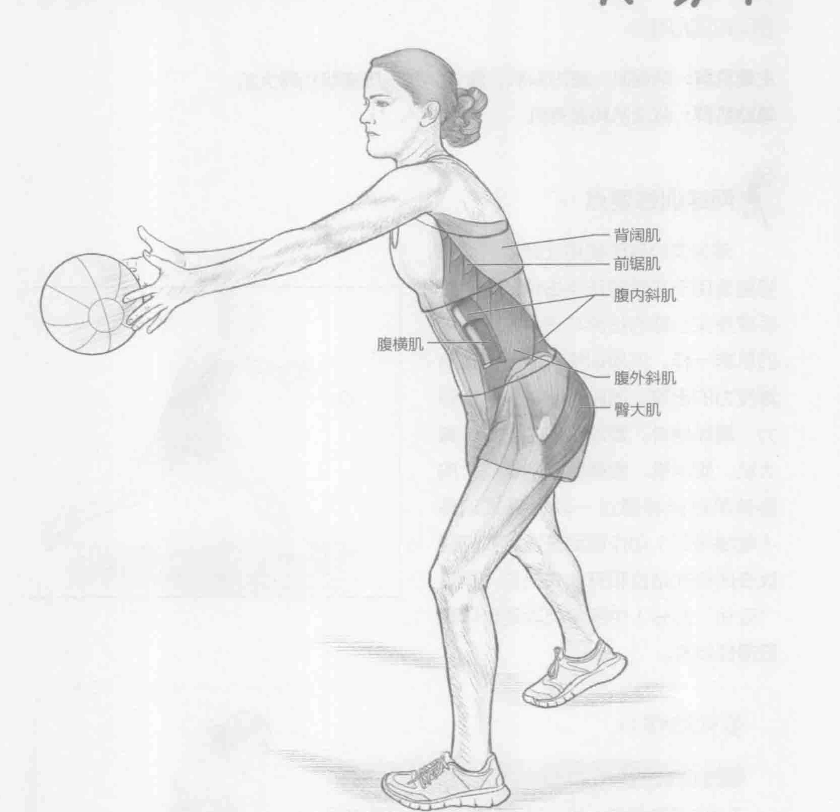 正手健身实心球投掷:动作与肌群