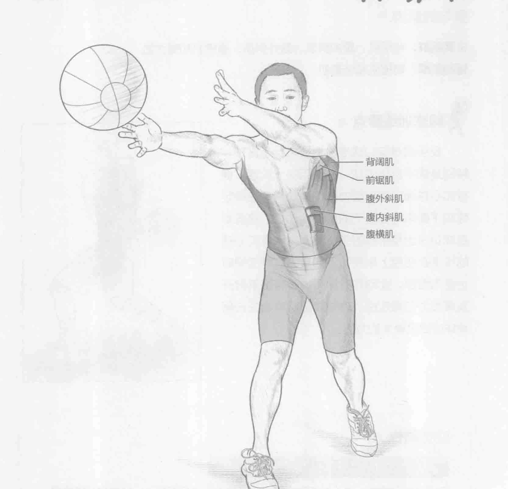 反手健身实心球投掷：动作与肌群