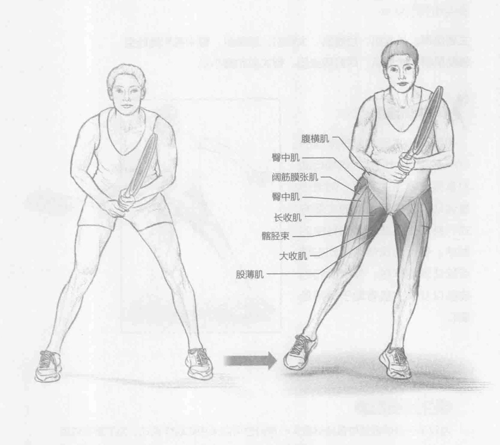 侧滑步：动作与肌群