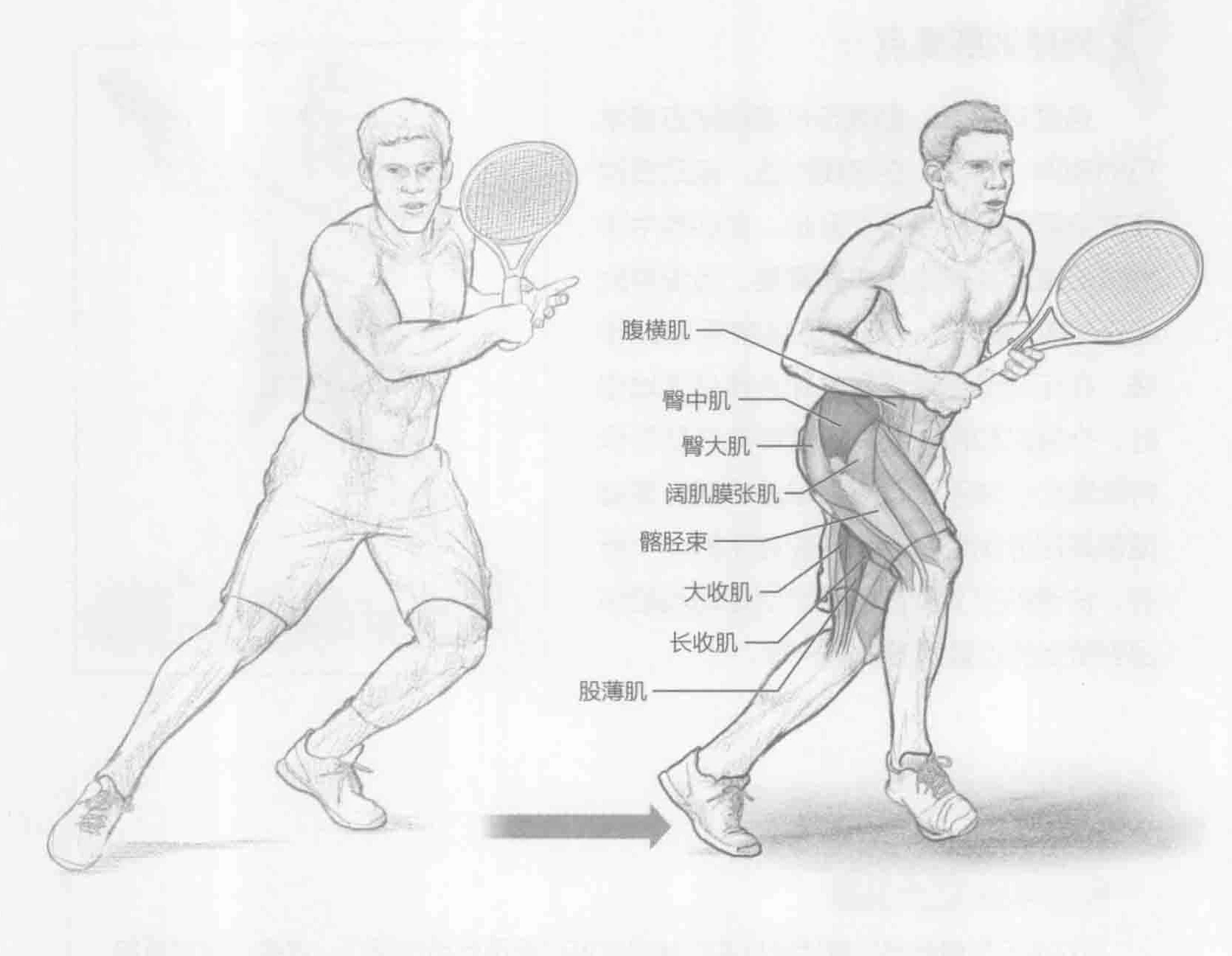 交叉侧滑步:动作与肌群