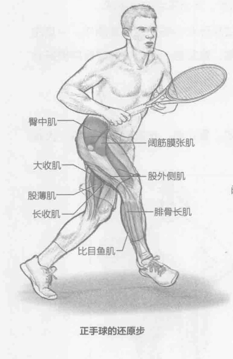正手球的还原步