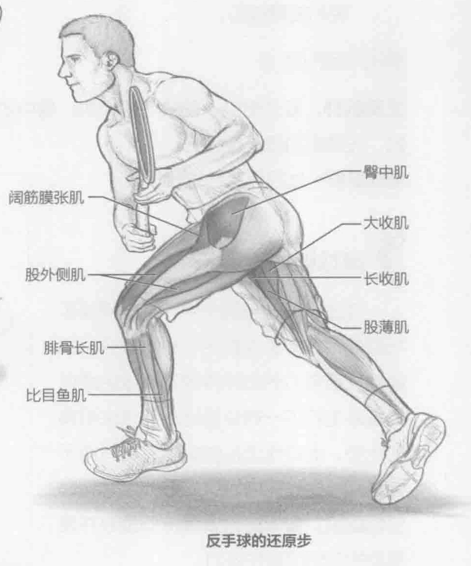 反手球的还原步