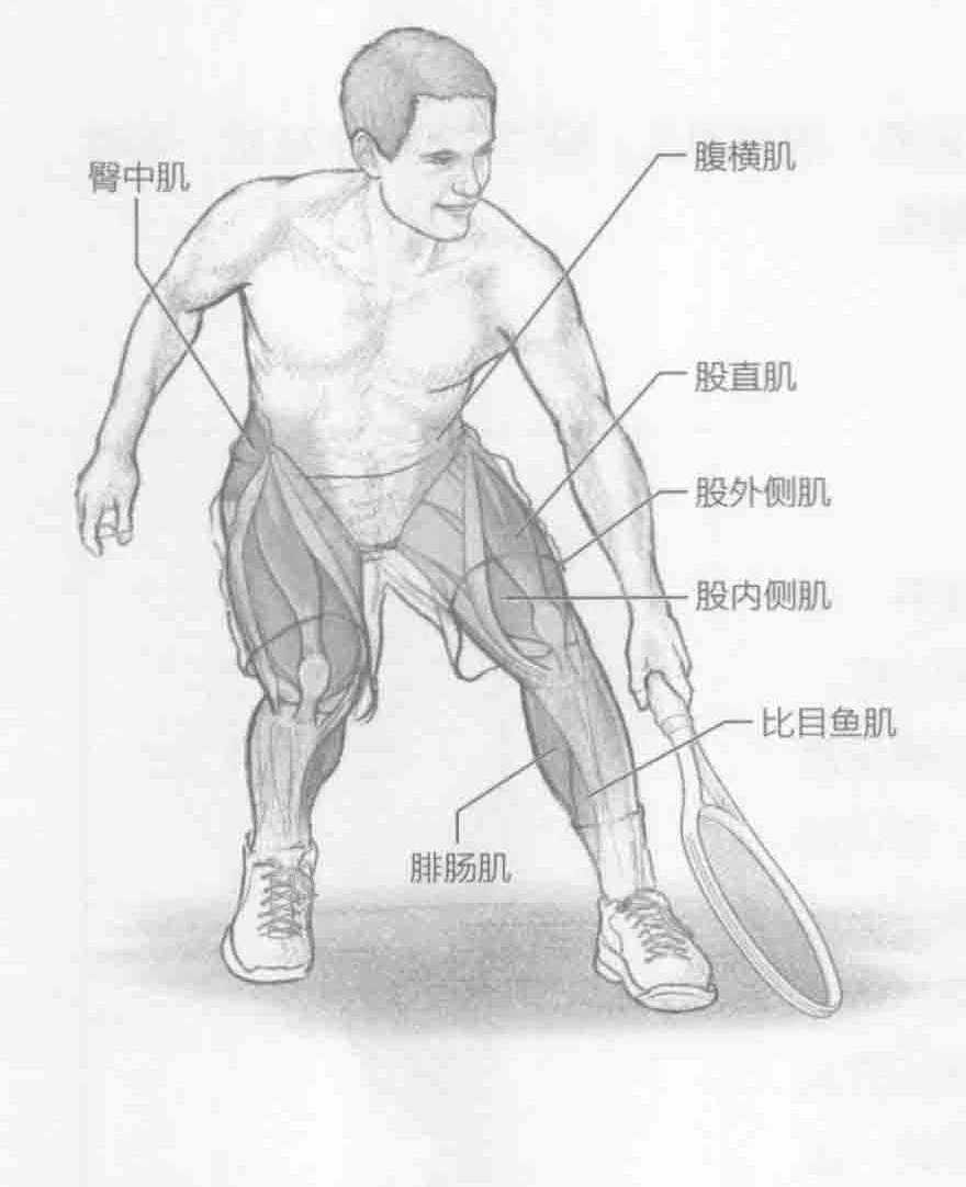 十字交叉步法训练：动作示意