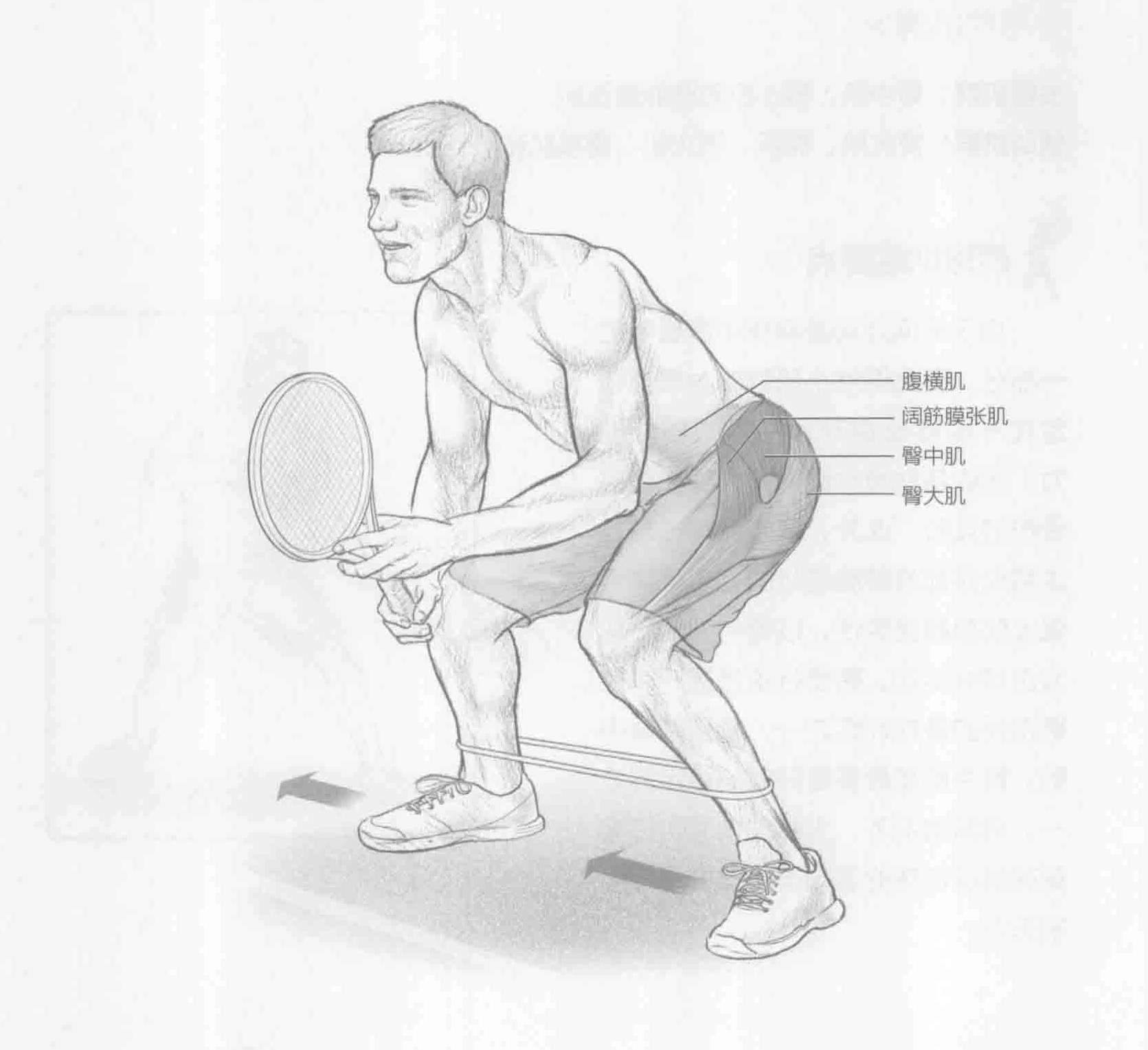 跨步行走:动作与肌群